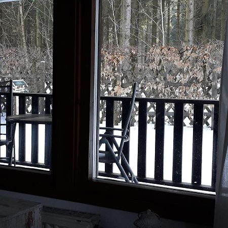 Waldsee-Ferienhaus-Mit-Kamin-W-Lan Clausthal-Zellerfeld Luaran gambar