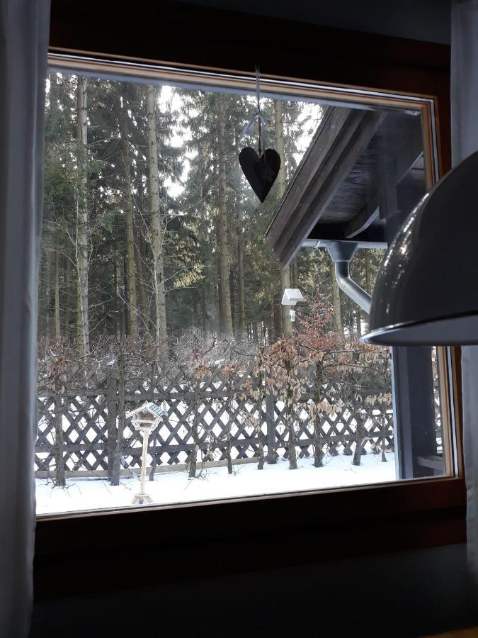 Waldsee-Ferienhaus-Mit-Kamin-W-Lan Clausthal-Zellerfeld Luaran gambar