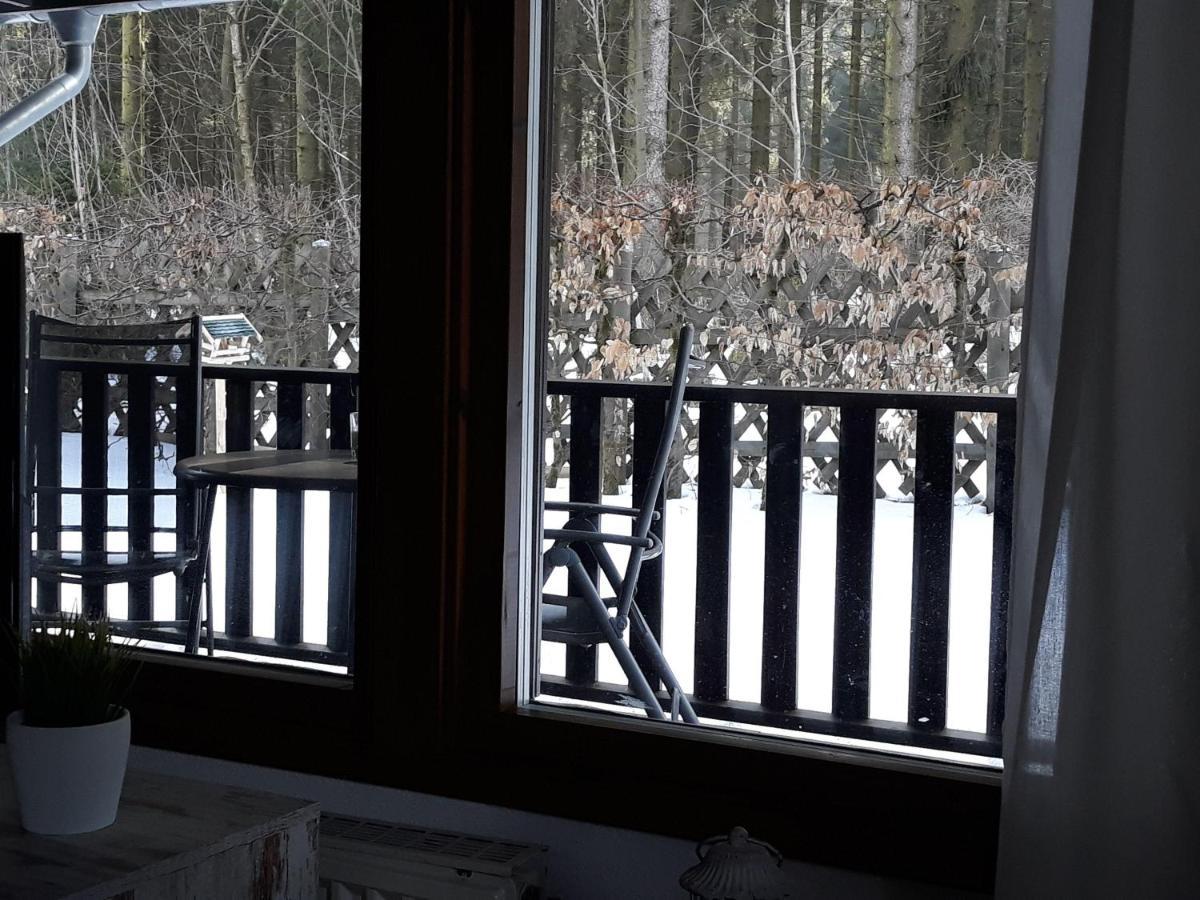 Waldsee-Ferienhaus-Mit-Kamin-W-Lan Clausthal-Zellerfeld Luaran gambar